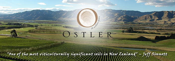 Ostler Logo